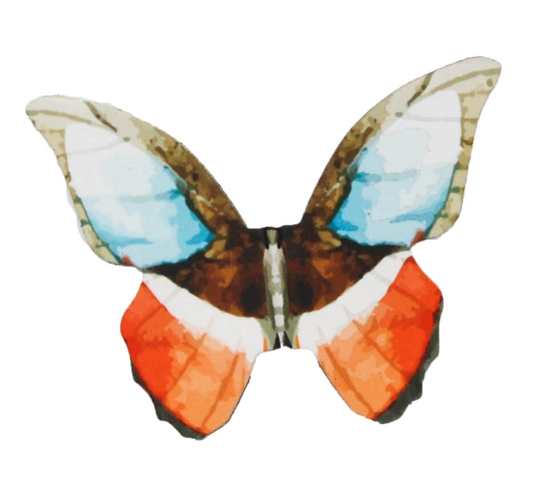 Butterfly Set - Sparkle & Co