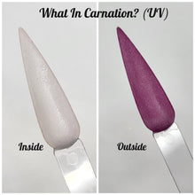 Load image into Gallery viewer, What In Carnation? (UV)
